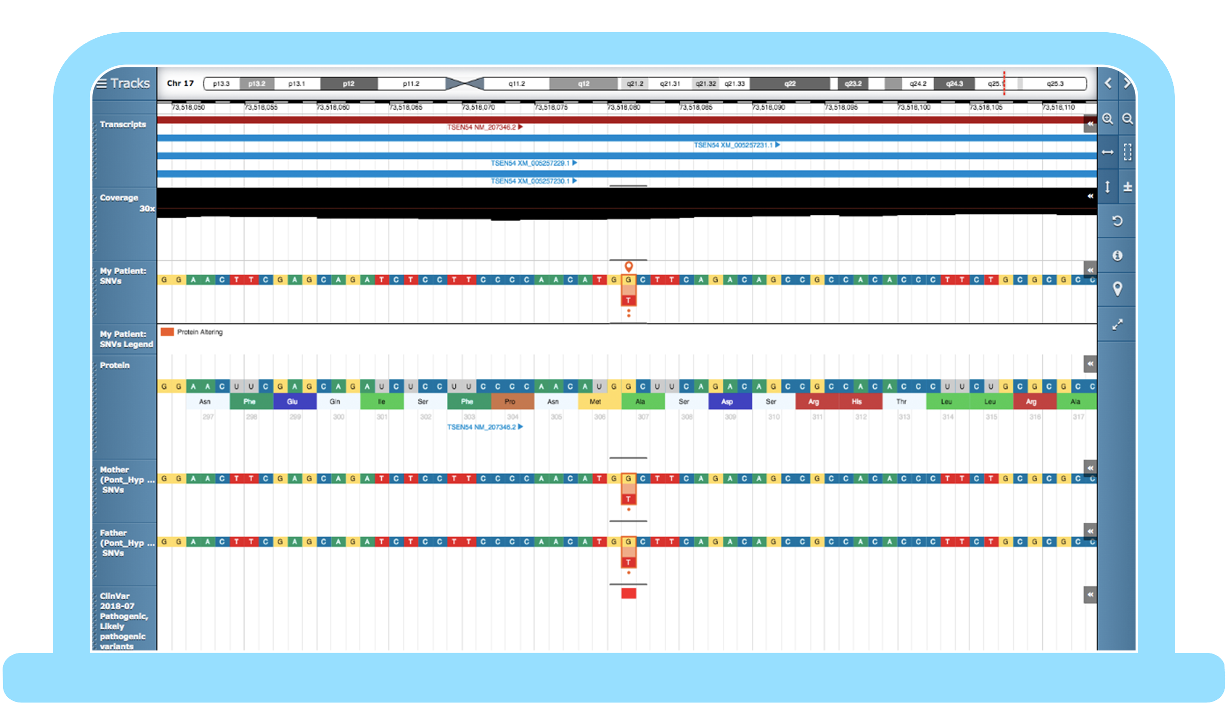 Integrated-genome-browser-1