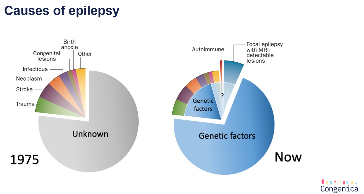 Monash blog epilepsy causes graphic
