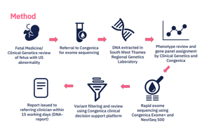 Poster: Diagnosis of fetal structural abnormalities using whole exome sequencing: a single centre study