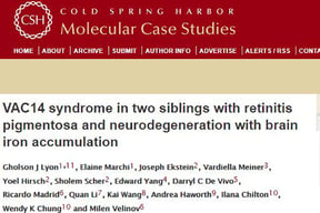 Neurodevelopmental disorders - discovering the underlying cause and how genomic data analysis ended a 21-year diagnostic odyssey