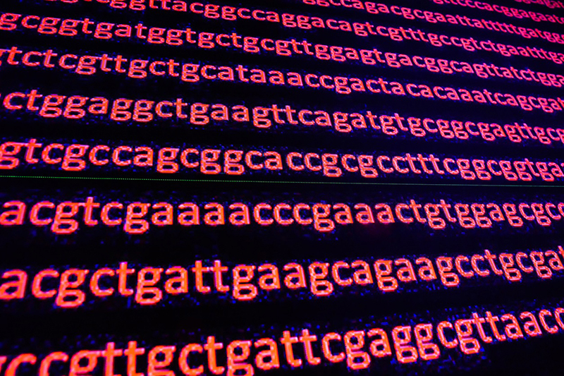 Roundtable Discussion: Taking Whole Genome Sequencing Mainstream